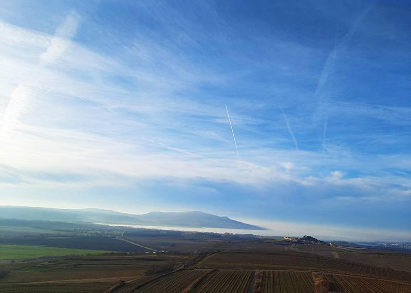 Affittacamere Sklep Vino Strycek Velké Bílovice Esterno foto