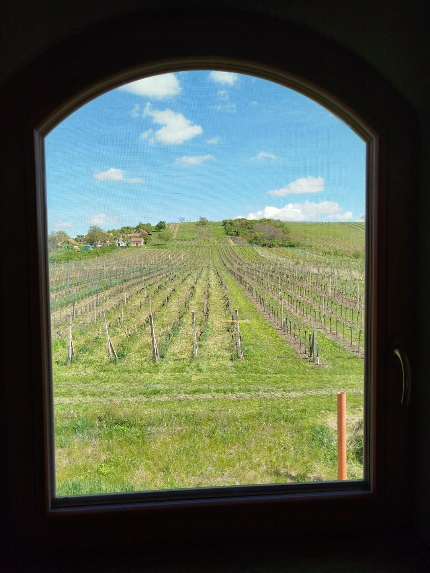 Affittacamere Sklep Vino Strycek Velké Bílovice Esterno foto